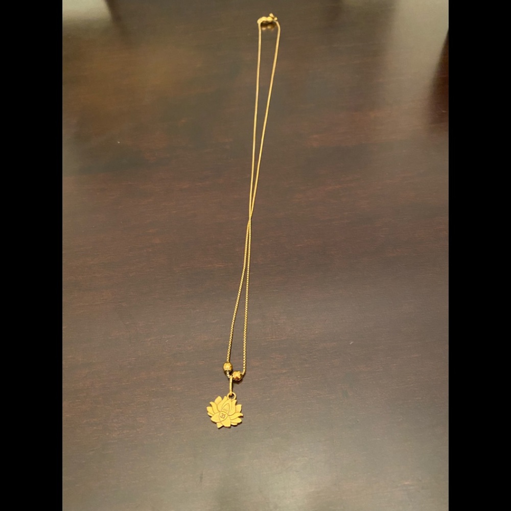 Alex & Ani Adjustable Necklace